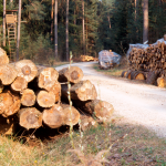 موارد محیط زیستی کاغذ و الیاف چوب