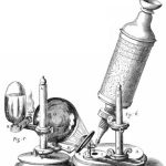 تاریخچه میکروسکوپ چیست و از کجا امده؟